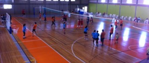 gv-guia_aval2014_d