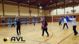 avl_2017_d