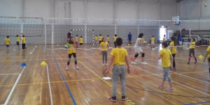 gira volei - foto 2