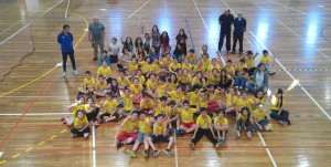 gira volei - foto 3