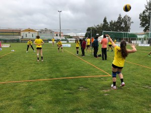 image6 (1)