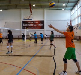 aval_castro_verde2014