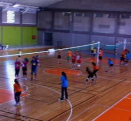 gv-guia_aval2014