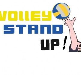 voleibol stand up