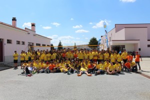 file243