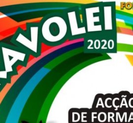 noticia1