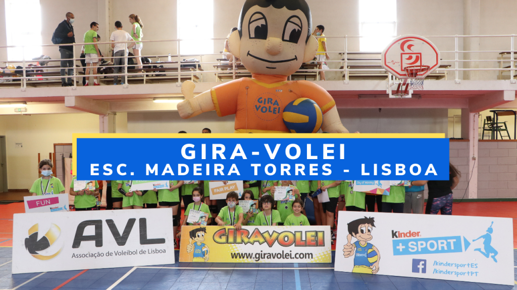 reportagem_madeira_torres