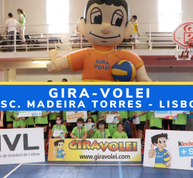 reportagem_madeira_torres