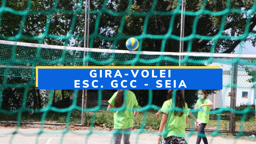 reportagem_seia