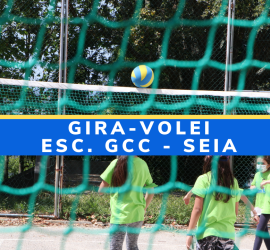 reportagem_seia