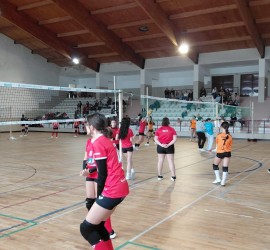 GVmarco2026_AVCoimbra2