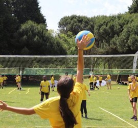 GV_AVP_regional_2022